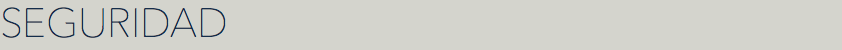 SEGURIDAD