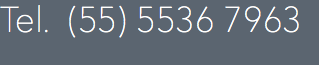 Tel. (55) 5536 7963
